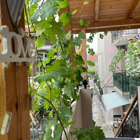 Rodos House Pensjonat *